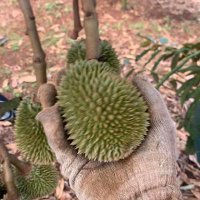 Thanhtam471 (@tranhaonam47471) 's Twitter Profile