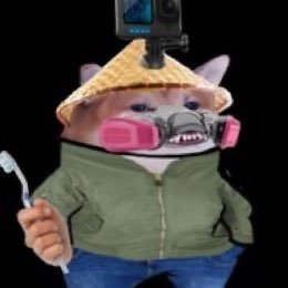 bastard_fist's profile picture. Independent