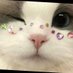 JaninaJD (@natachenjung) Twitter profile photo JaninaJD (@natachenjung) Twitter profile photo