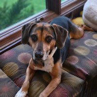 My friends call me Mj (@coco_loco_2012) 's Twitter Profile Photo