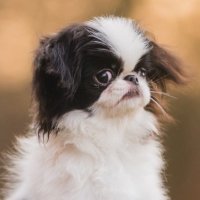 Ben Wormington (@benwormi) 's Twitter Profile Photo