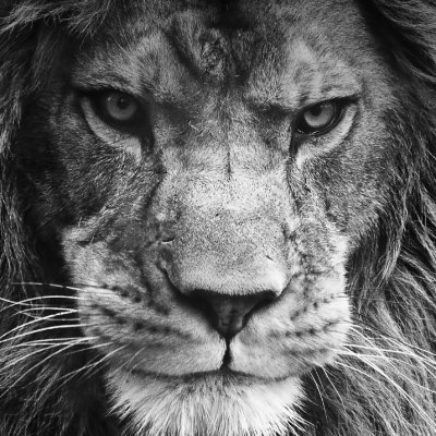 arturin369's profile picture. 