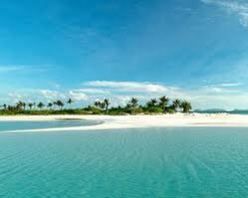 jdmj0266's profile picture. 