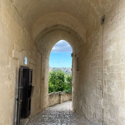 lucindabolzoni's profile picture. 