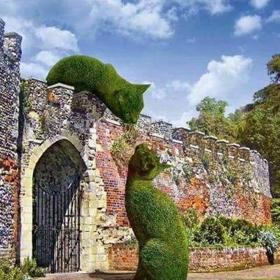 AlsaadeAba45738's profile picture. 