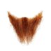 Red Beard 🧀🐀 (@redbeardada) Twitter profile photo Red Beard 🧀🐀 (@redbeardada) Twitter profile photo