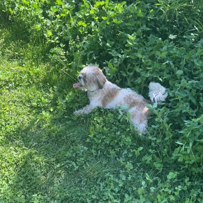 GarrityBrendan's profile picture. 