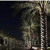 الودّ. (@wmi_4) Twitter profile photo