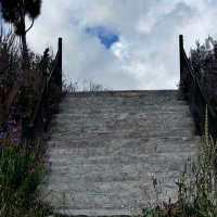 نورة النفيسة (@nono_m_n) 's Twitter Profile