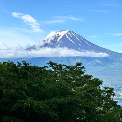 shamasan's profile picture. 愛するもの 家族 ネコたち 映画 音楽 そば 山 #日本保守党 結党日に党員になりました🇯🇵