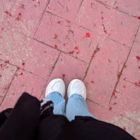 انوو (@enass124) 's Twitter Profile