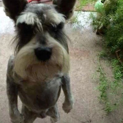 Nighteyeteam's profile picture. 