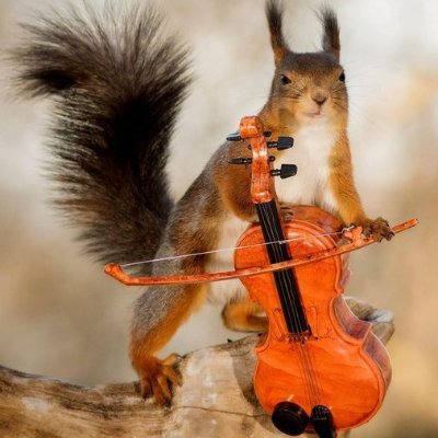 nature419846051's profile picture. 猫は私たちの人生のすべてではありませんが、私たちの人生を充実させてくれます。私は野球とテニスも大好きです。