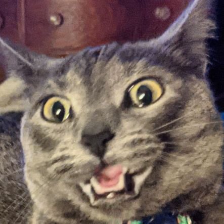 Citizen_Kade's profile picture. 