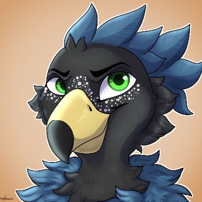 Kobadaさんのプロフィール画像