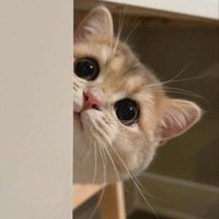 راشد (@rmalatam) Twitter profile photo