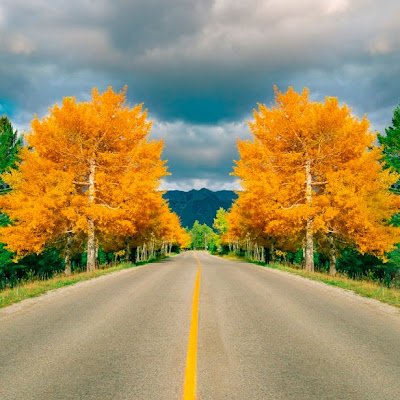 christaylo49247's profile picture.