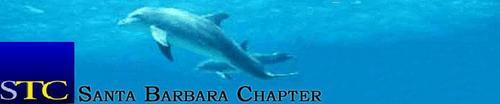 Come help us make this chapter as vibrant as it once was... and even more so!