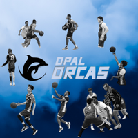 Opal Orcas (@tjaopal) 's Twitter Profile