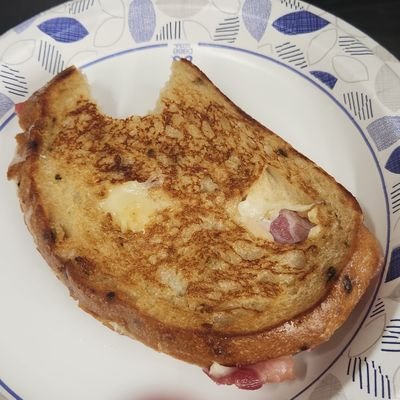 Aholz8ighty4our's profile picture. It can not always be night