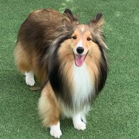 libra (@libralovesemmie) 's Twitter Profile