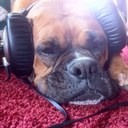 Joseph Post - @joseph_post - Twitter