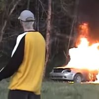 fad (@mfoosh_) 's Twitter Profile Photo