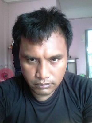 apichui2499's profile picture. 