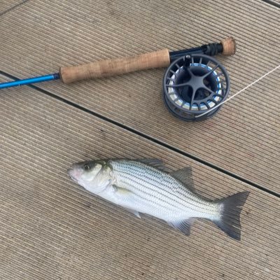 david_bullard's profile picture. 