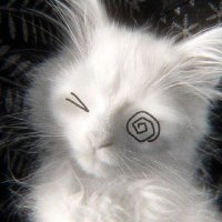 . (@rabbitandreader) 's Twitter Profile