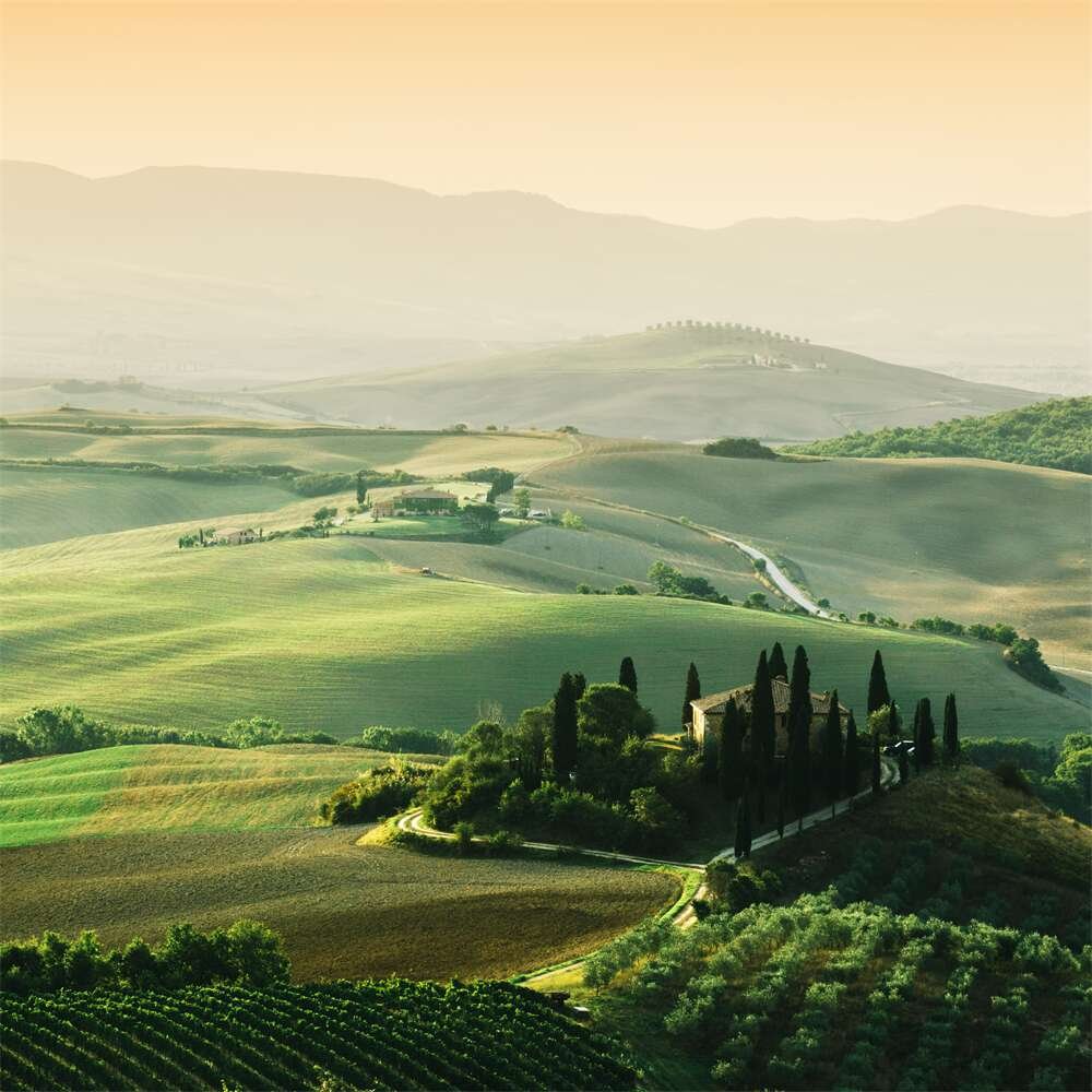 crmitsolut96825's profile picture. 