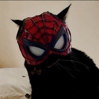 ִ ࣪Jizyo⭑๋࣭ (@r_zyoz) 's Twitter Profile