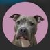 Mids (@picksbymids) Twitter profile photo Mids (@picksbymids) Twitter profile photo