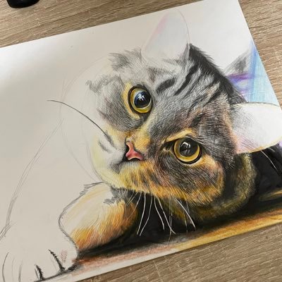 ソノさんのプロフィール画像