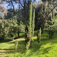 rodroazul (@rodrojimenezbe) 's Twitter Profile