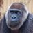 ereco_photo's profile image
