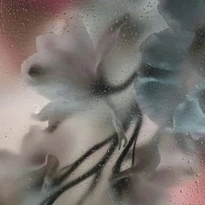 milkcerealspoon's profile picture. gnocchi4L