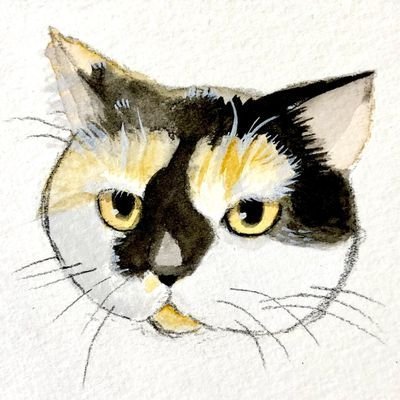 ChiyokoFuu62207's profile picture. 