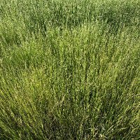 Moss Landing (@arturo10185) 's Twitter Profile Photo Moss Landing (@arturo10185) 's Twitter Profile Photo