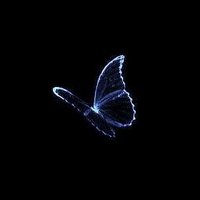 Meg 🥀🖤 (@meg_pnd) 's Twitter Profile