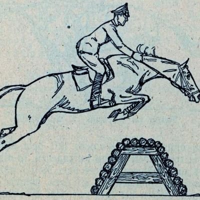 I like German cavalry and German foreign volunteers in World War II. I like collecting and have no other political inclination.