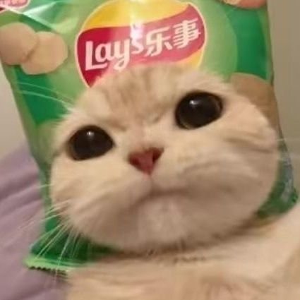 jSib2eJXzB5Gb9b's profile picture. 