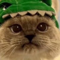 devdav (@devdav33) 's Twitter Profile