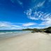 Isle of Gigha Birding (@isleofgighabird) Twitter profile photo Isle of Gigha Birding (@isleofgighabird) Twitter profile photo