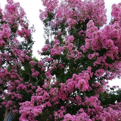 Mims40950007's profile picture. 