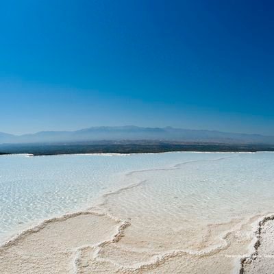 X8WOm2Yq59DBAp0's profile picture. 