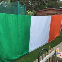 Hazel (@hazelreilly) 's Twitter Profile