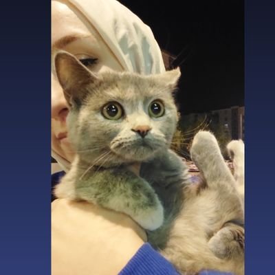 Busraberr's profile picture. SDÜTF