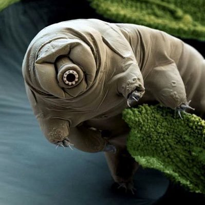 EclailK79758's profile picture. 熬过最严酷的环境，才能享受绝境的美景