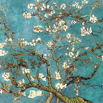 _enaile1's profile picture. 🥑🌎⚖️ another day as a big girl with a big girl job